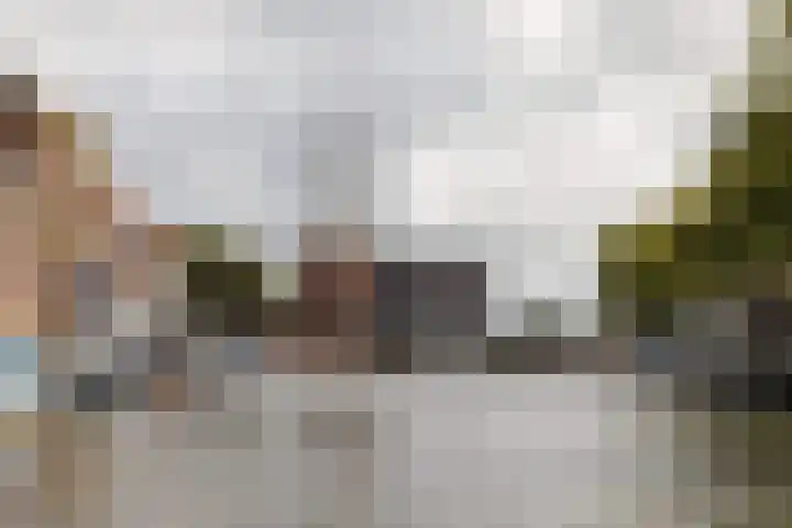 Jaagpad 51 Alkmaar thumbnail 68