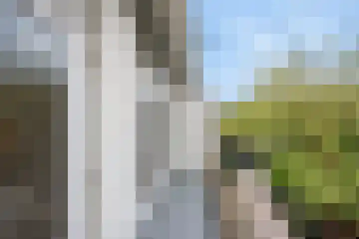 Jaagpad 51 Rijswijk thumbnail 10