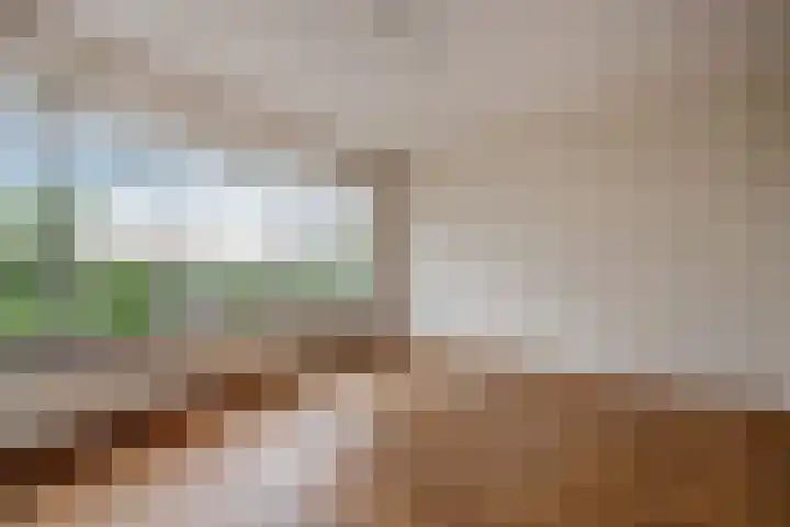 Jaagpad 51 Rijswijk thumbnail 16
