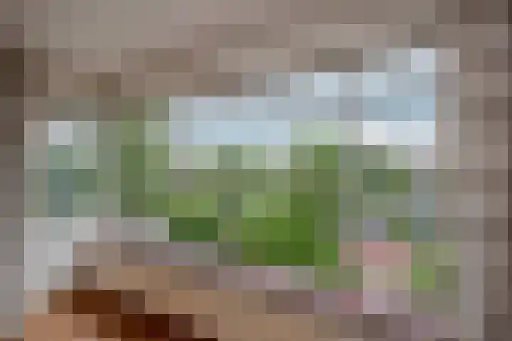Jaagpad 51 Rijswijk thumbnail 19