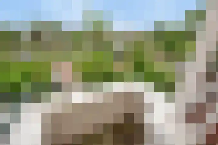 Jaagpad 51 Rijswijk thumbnail 20