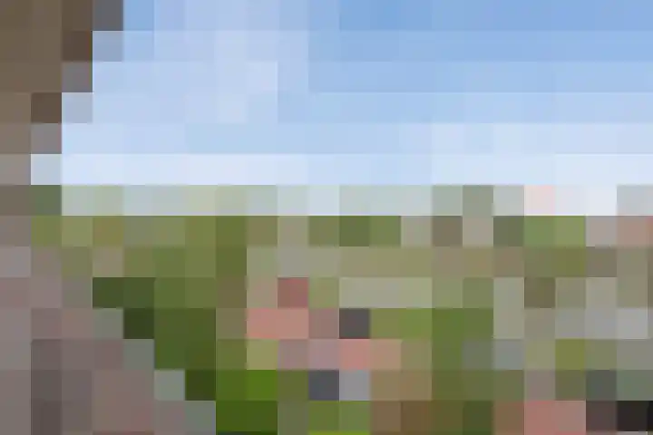 Jaagpad 51 Rijswijk thumbnail 31
