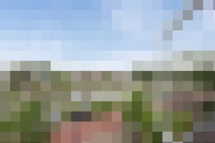 Jaagpad 51 Rijswijk thumbnail 32