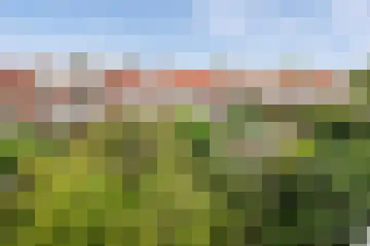 Jaagpad 51 Rijswijk thumbnail 33