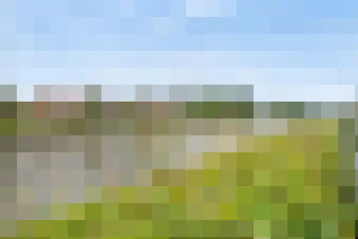 Jaagpad 51 Rijswijk thumbnail 34
