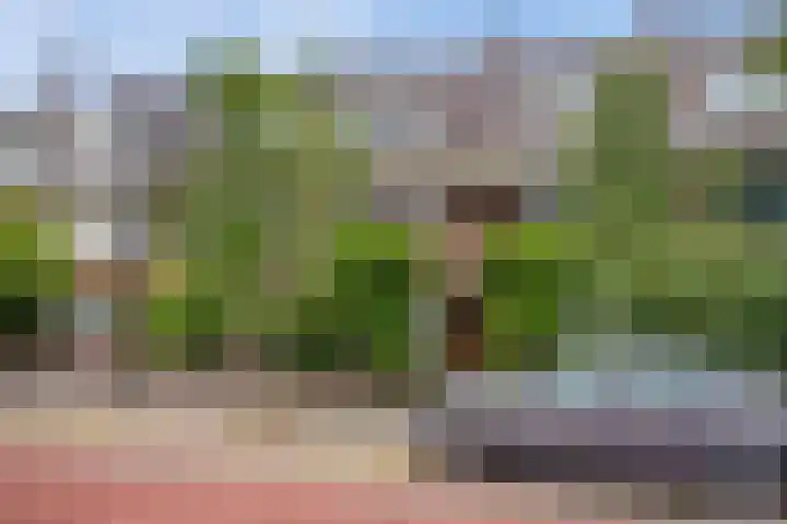Jaagpad 51 Rijswijk thumbnail 35