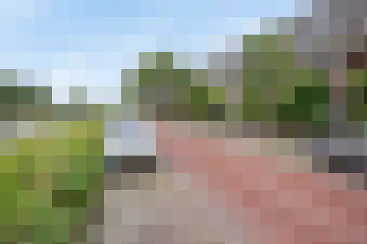 Jaagpad 51 Rijswijk thumbnail 36