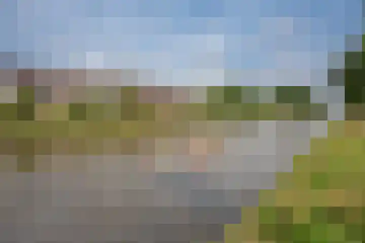 Jaagpad 51 Rijswijk thumbnail 37