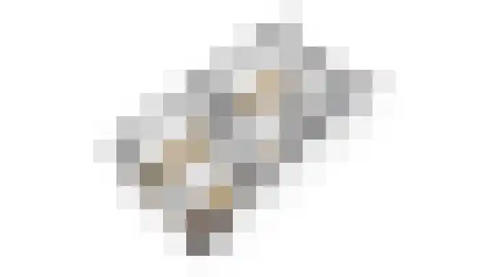 Jaagpad 51 Rijswijk thumbnail 44