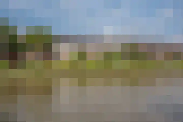 Jaagpad 51 Rijswijk thumbnail 47