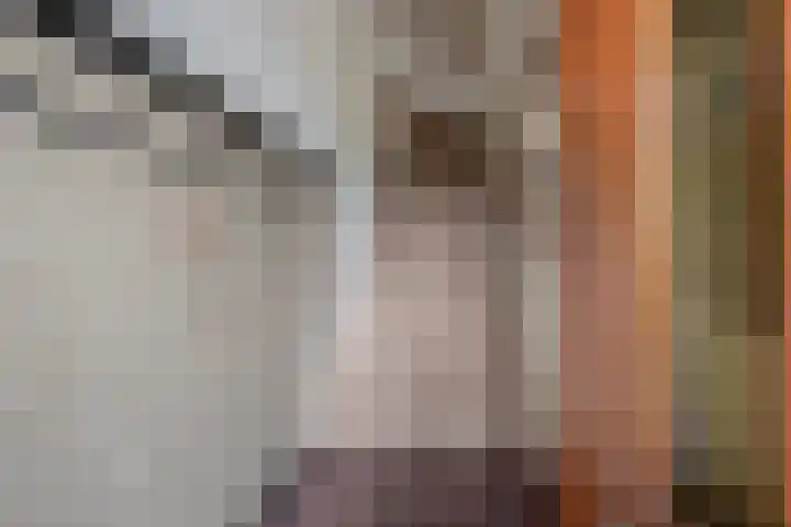 Jaagpad 51 Rijswijk thumbnail 5