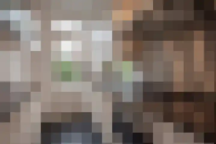 Jaagpad 51 Rijswijk thumbnail 8