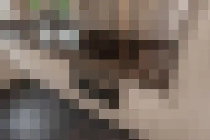 Jaagpad 51 Rijswijk thumbnail 9