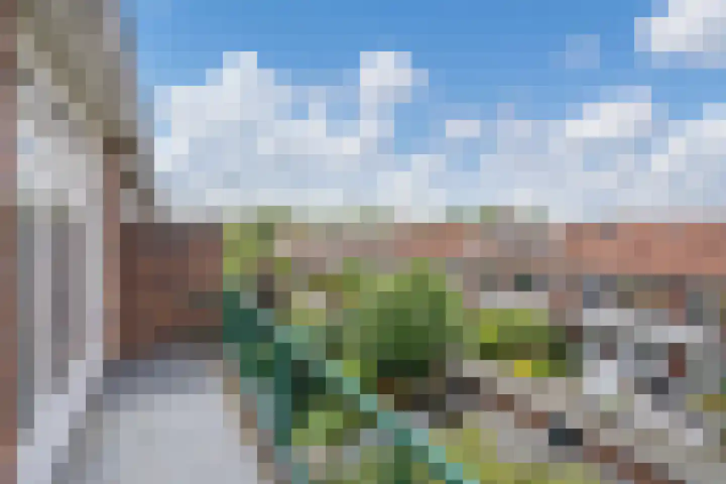 Jaagpad 53 Rijswijk thumbnail 13