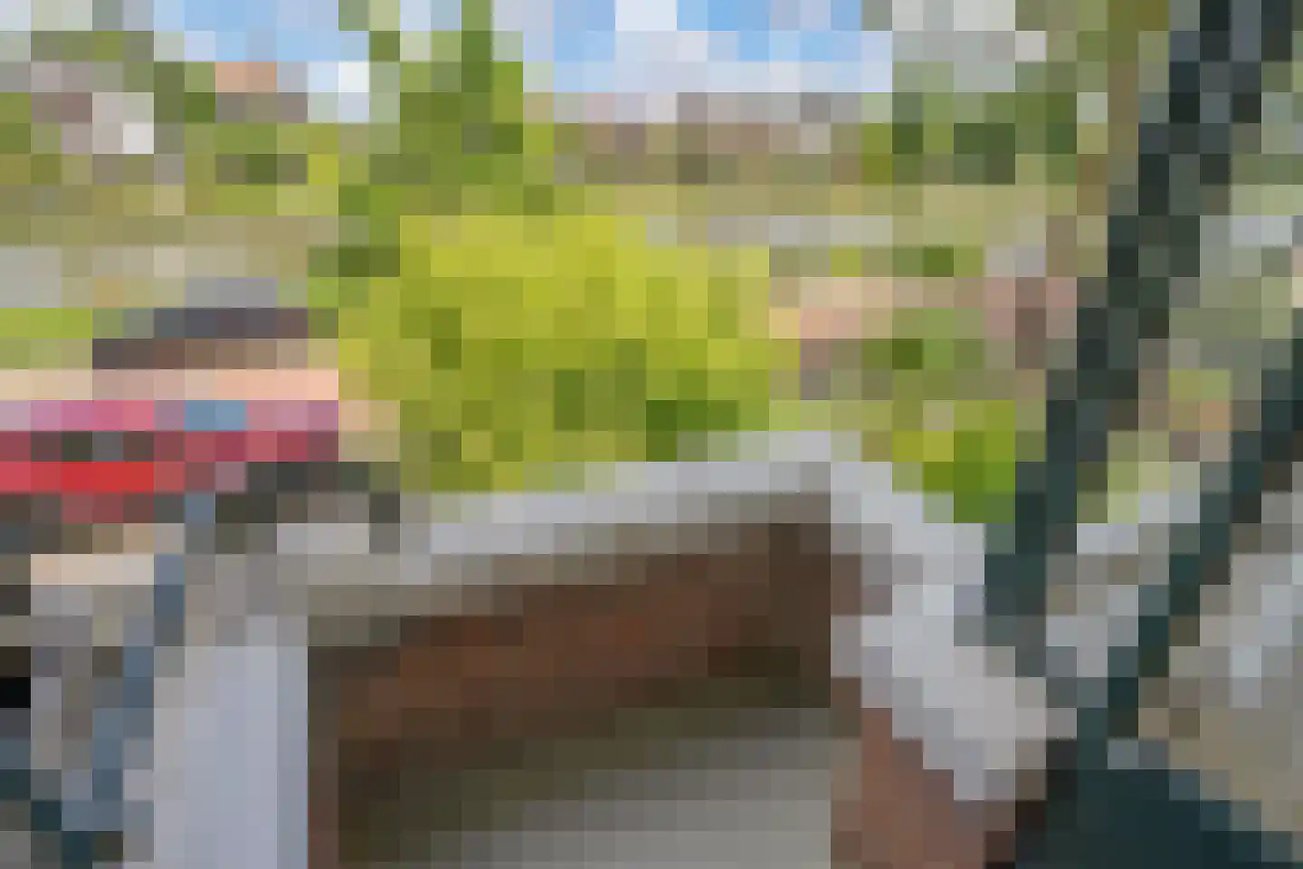 Jaagpad 53 Rijswijk thumbnail 21