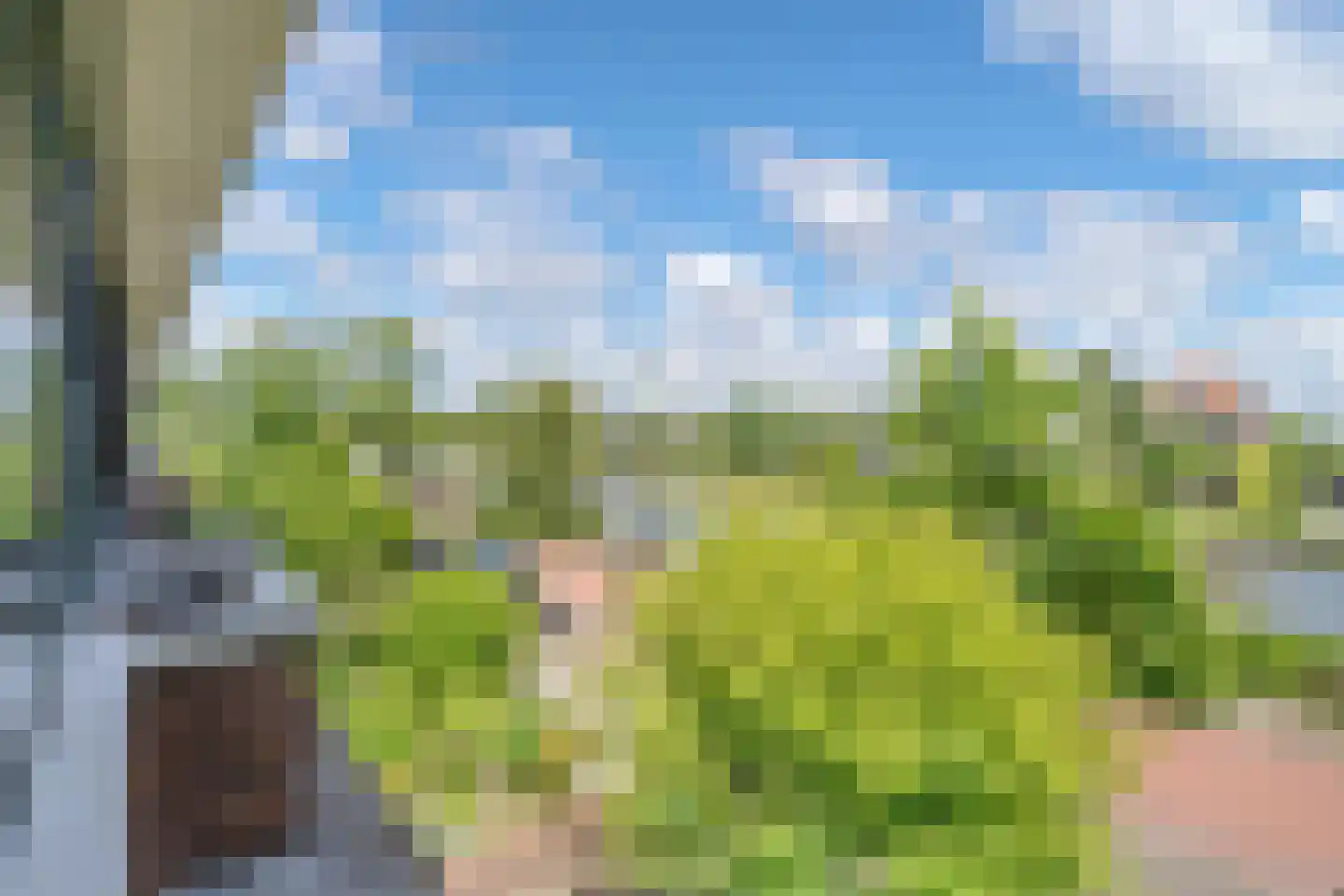 Jaagpad 53 Rijswijk thumbnail 22