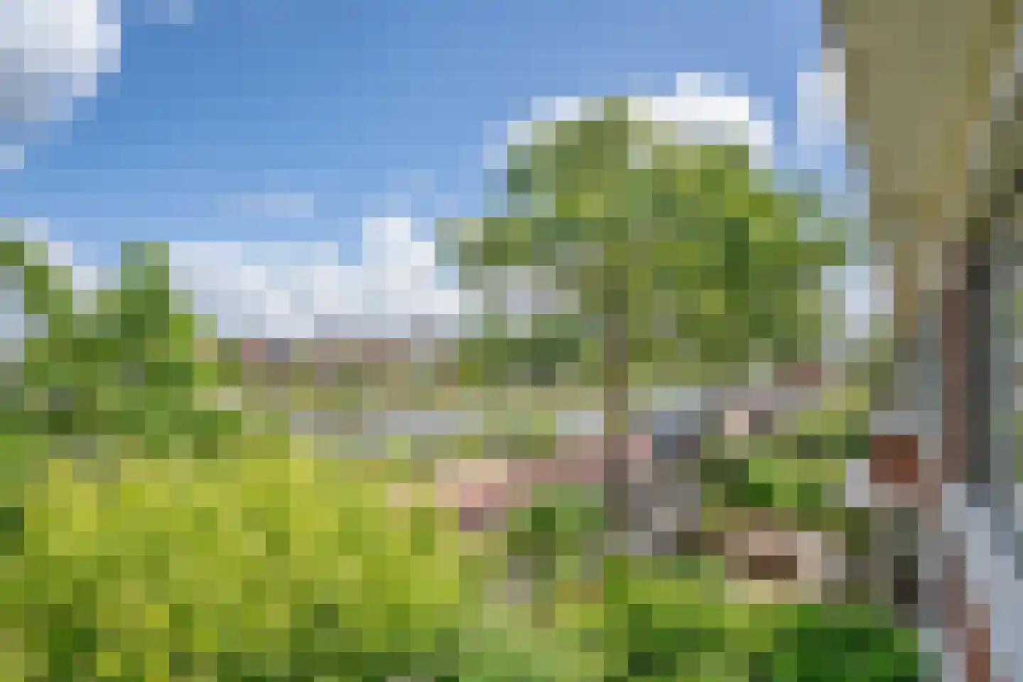 Jaagpad 53 Rijswijk thumbnail 23