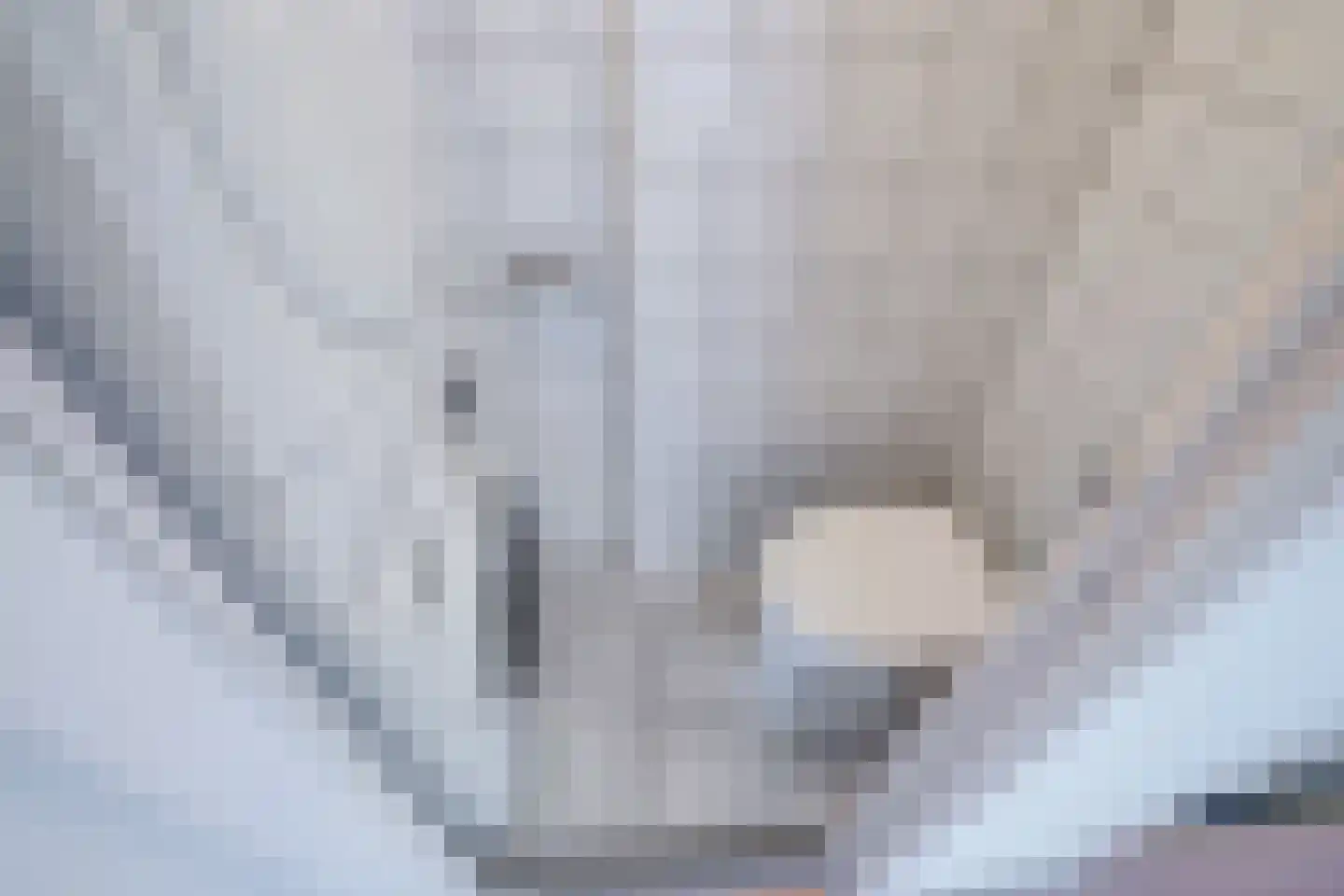 Jaagpad 53 Rijswijk thumbnail 36