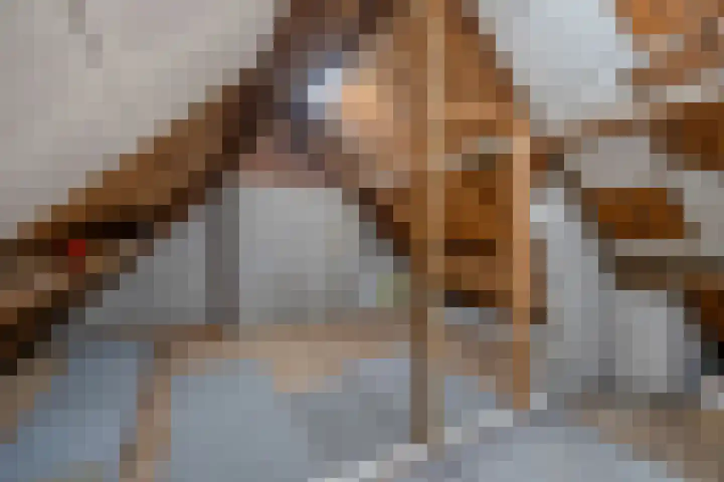 Jaagpad 53 Rijswijk thumbnail 38