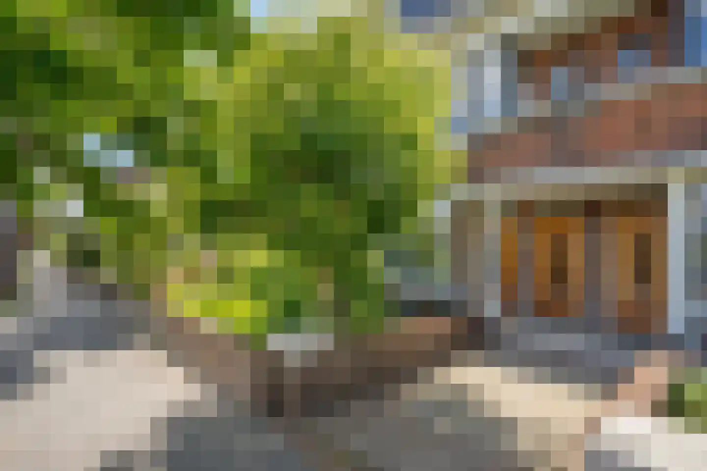 Jaagpad 53 Rijswijk thumbnail 6