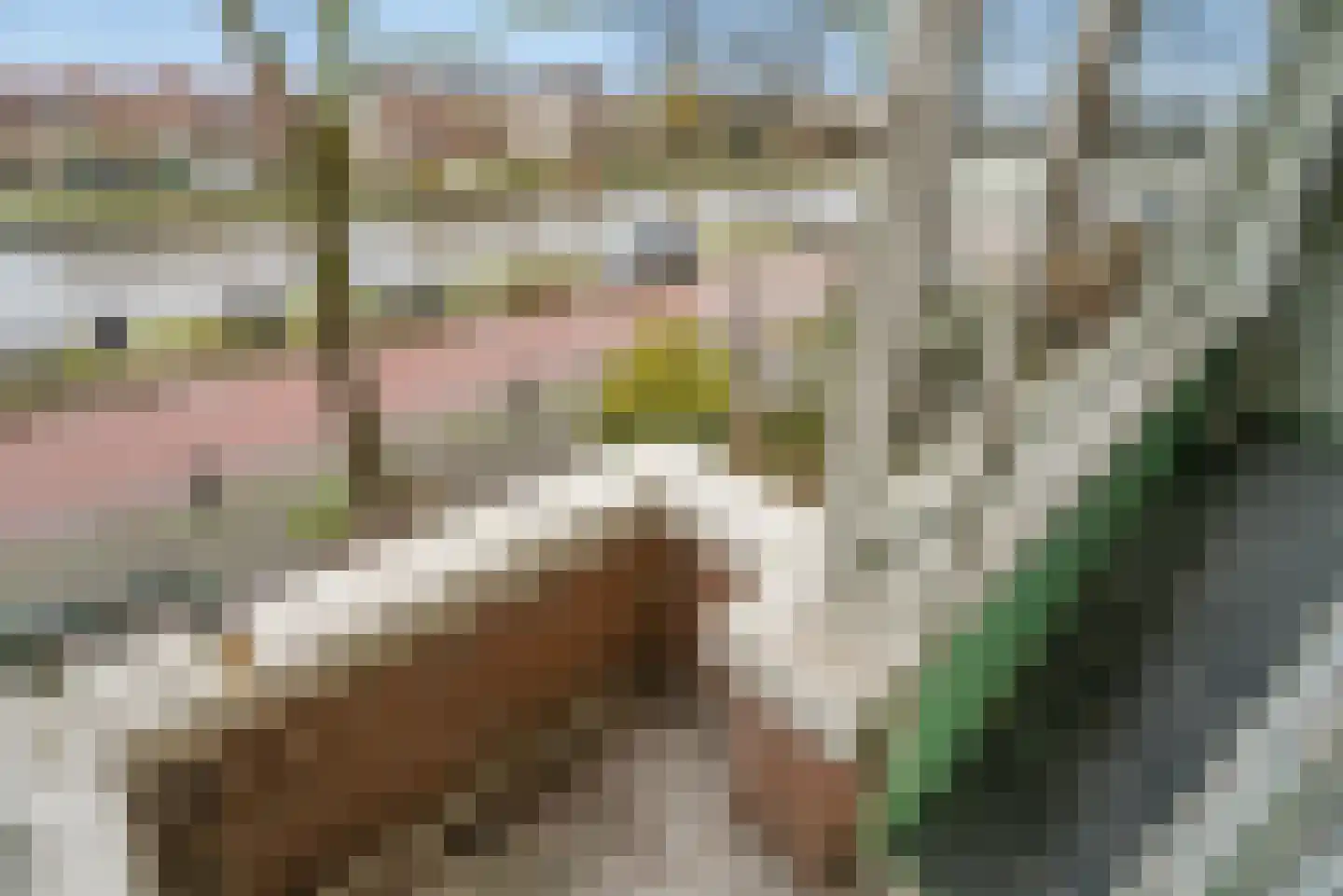 Jaagpad 57 Rijswijk thumbnail 14