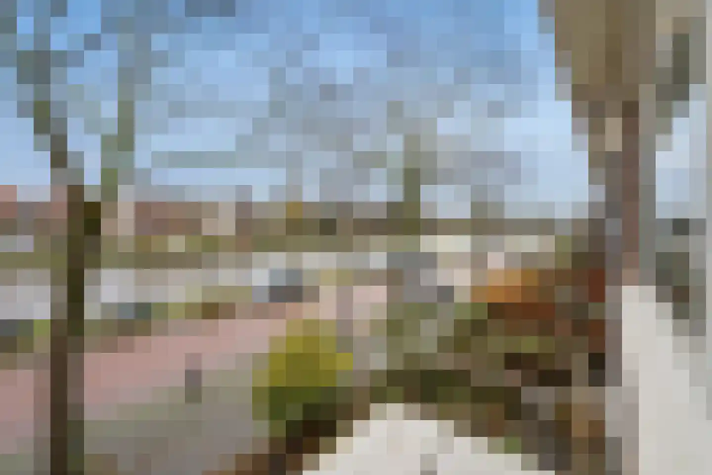 Jaagpad 57 Rijswijk thumbnail 15