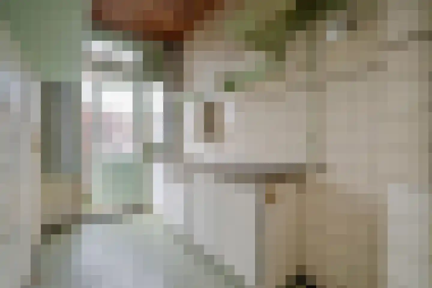 Jaagpad 57 Rijswijk thumbnail 25
