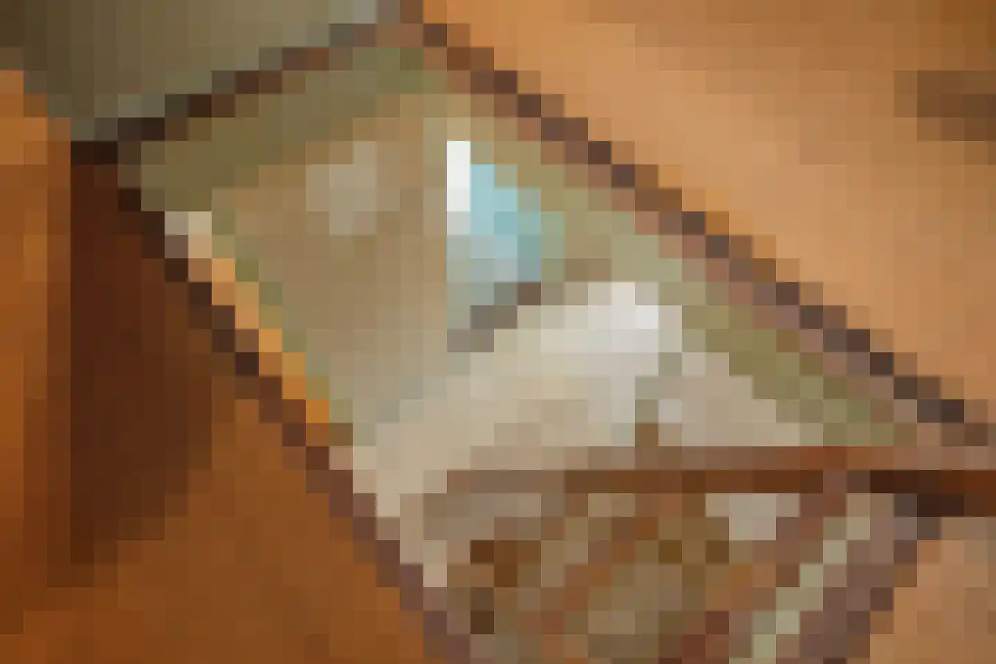 Jaagpad 57 Rijswijk thumbnail 38