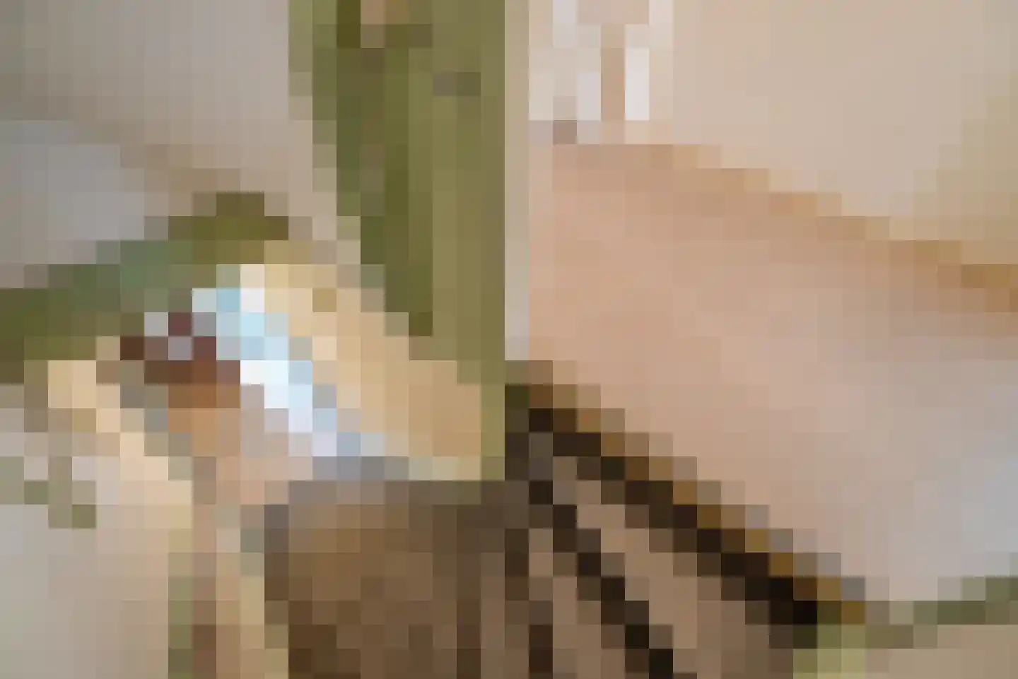 Jaagpad 57 Rijswijk thumbnail 7