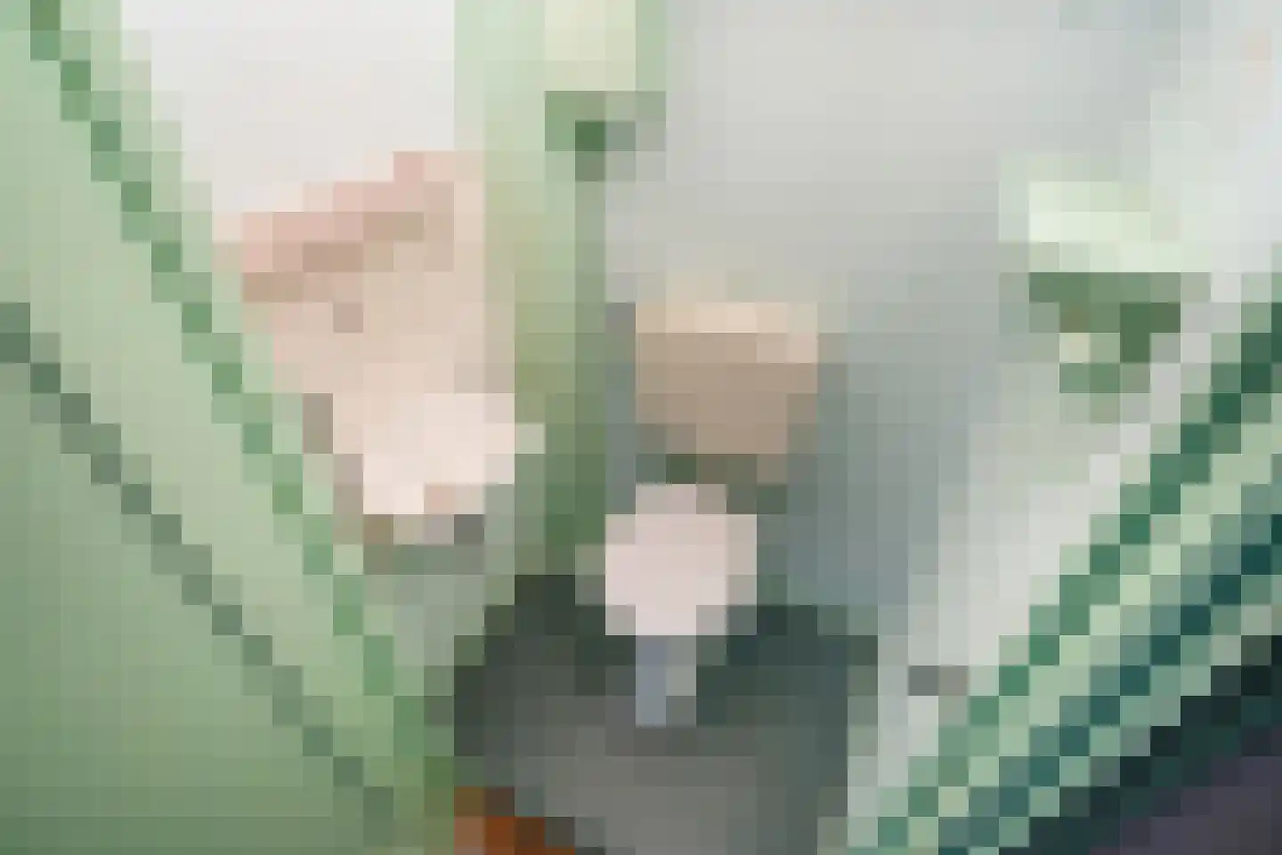 Jaagpad 57 Rijswijk thumbnail 9