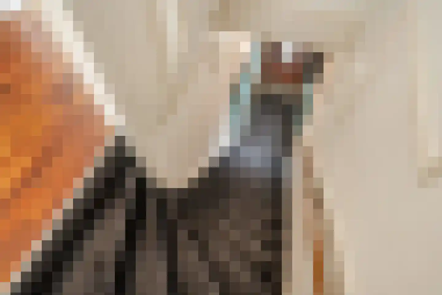 Jaagpad 62 Rijswijk thumbnail 10
