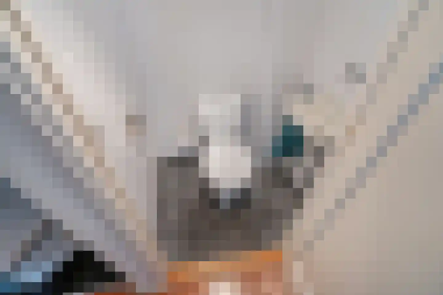 Jaagpad 62 Rijswijk thumbnail 12