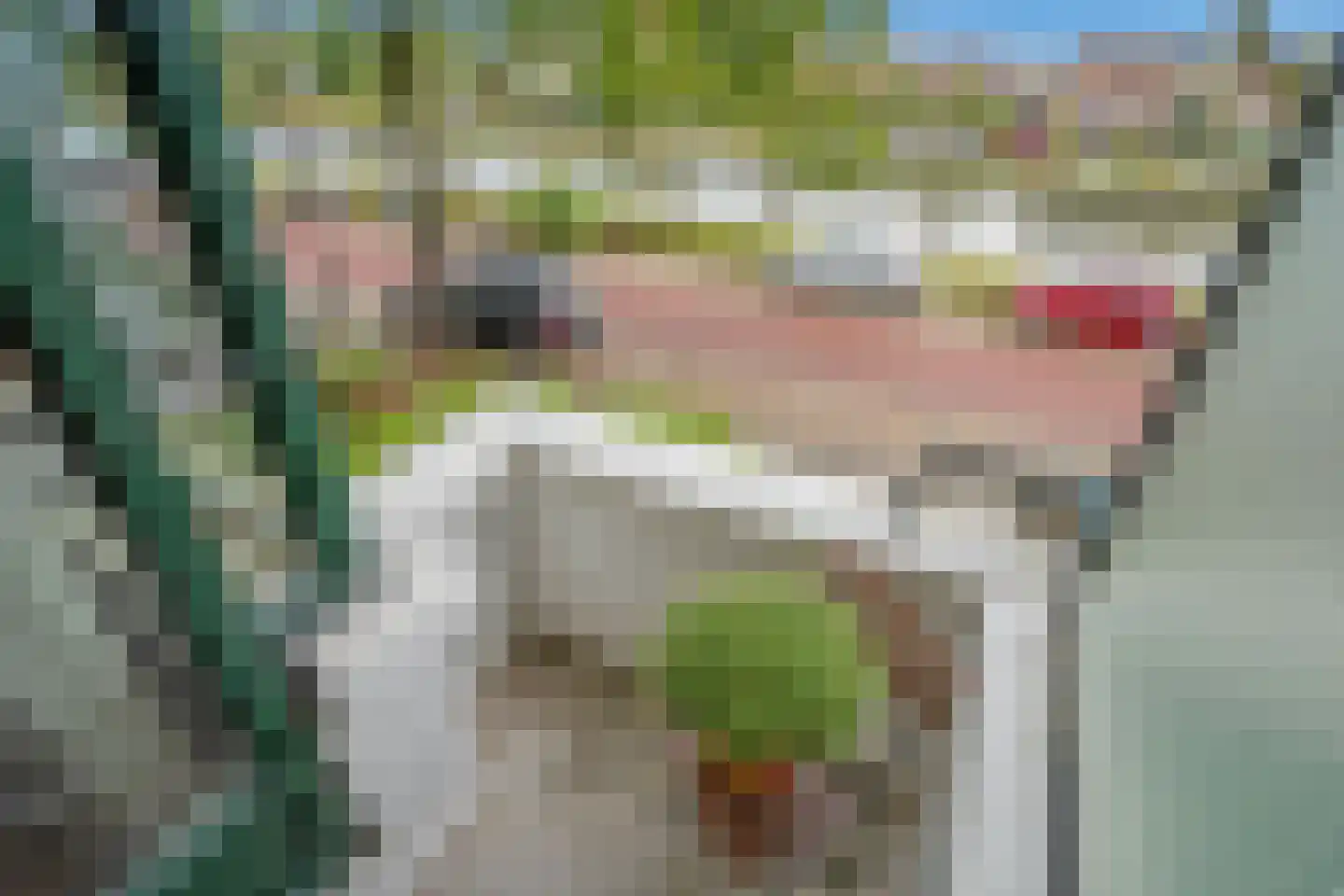 Jaagpad 62 Rijswijk thumbnail 17