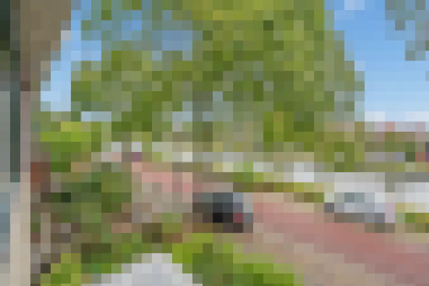 Jaagpad 62 Rijswijk foto 2