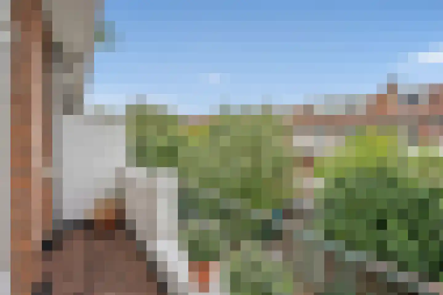 Jaagpad 62 Rijswijk thumbnail 22