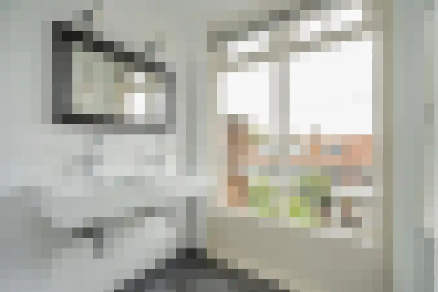Jaagpad 62 Rijswijk thumbnail 28