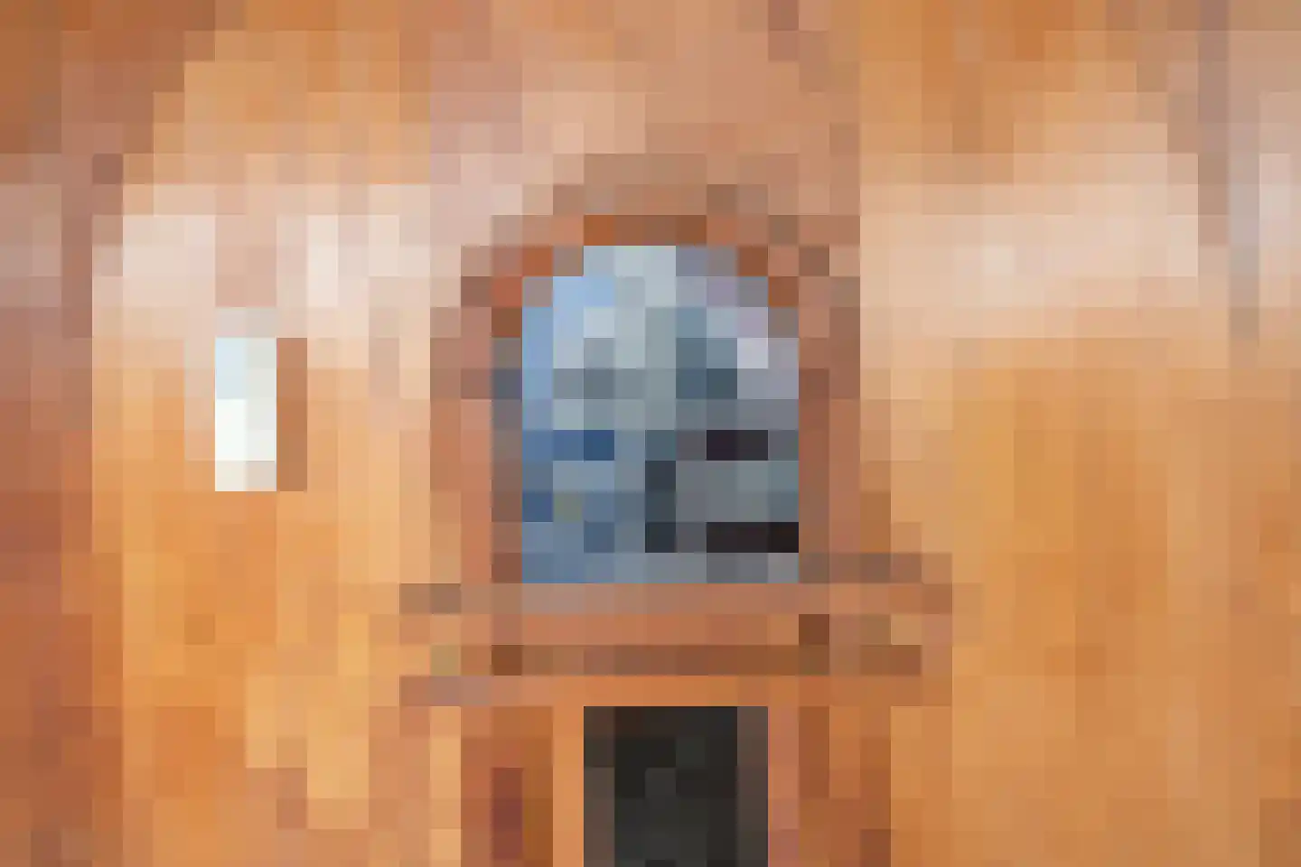 Jaagpad 62 Rijswijk thumbnail 8