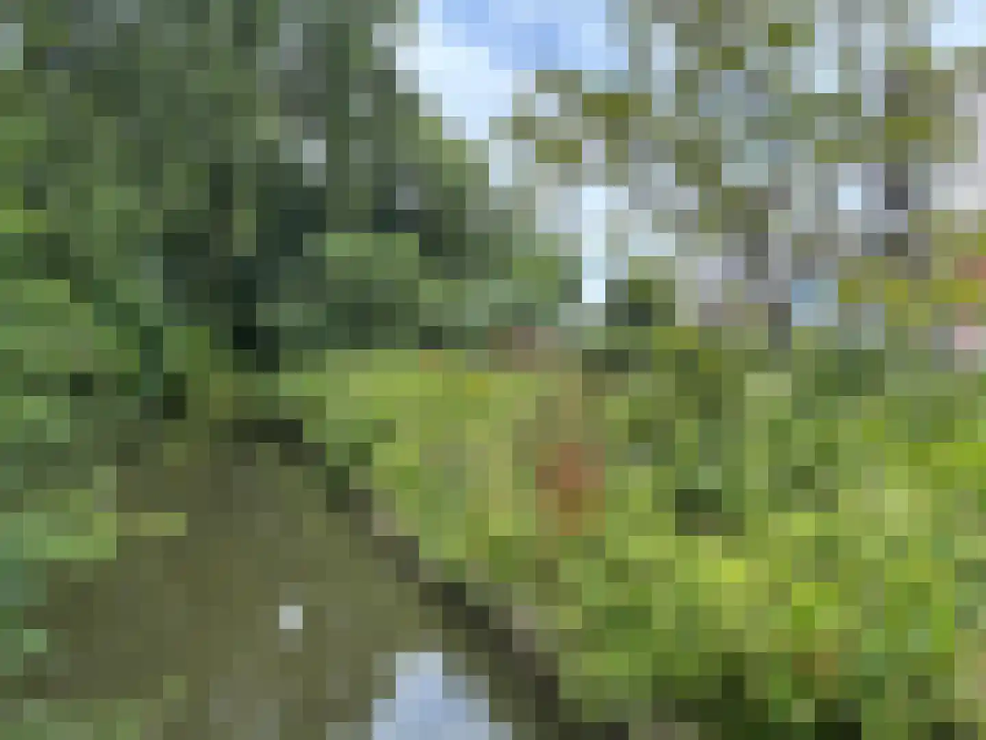 Jaagpad 7 c Rijswijk thumbnail 7