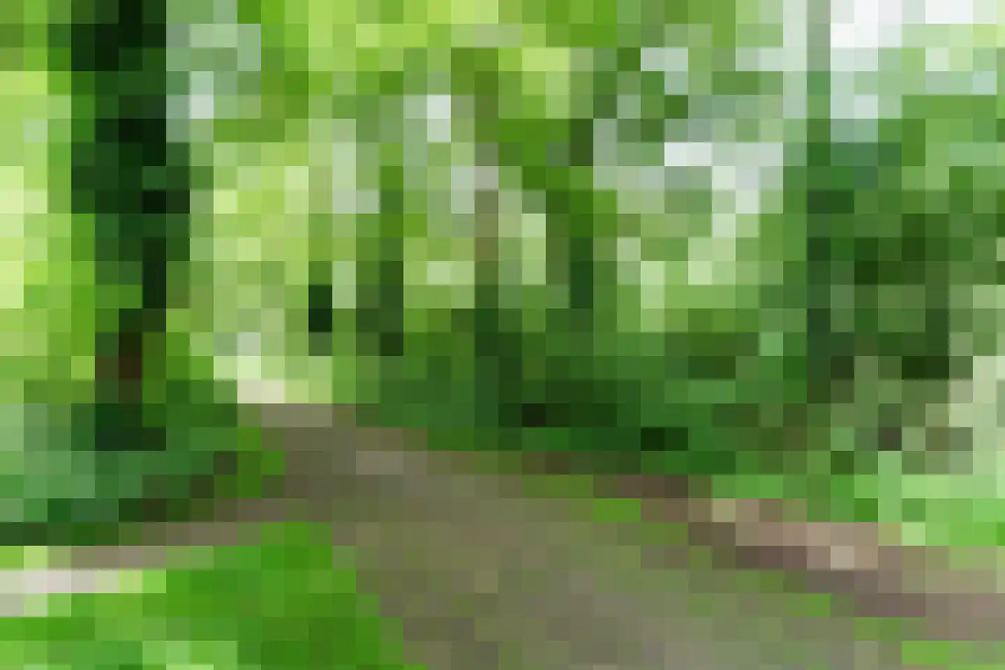Jaagpad 77 Rijswijk thumbnail 30