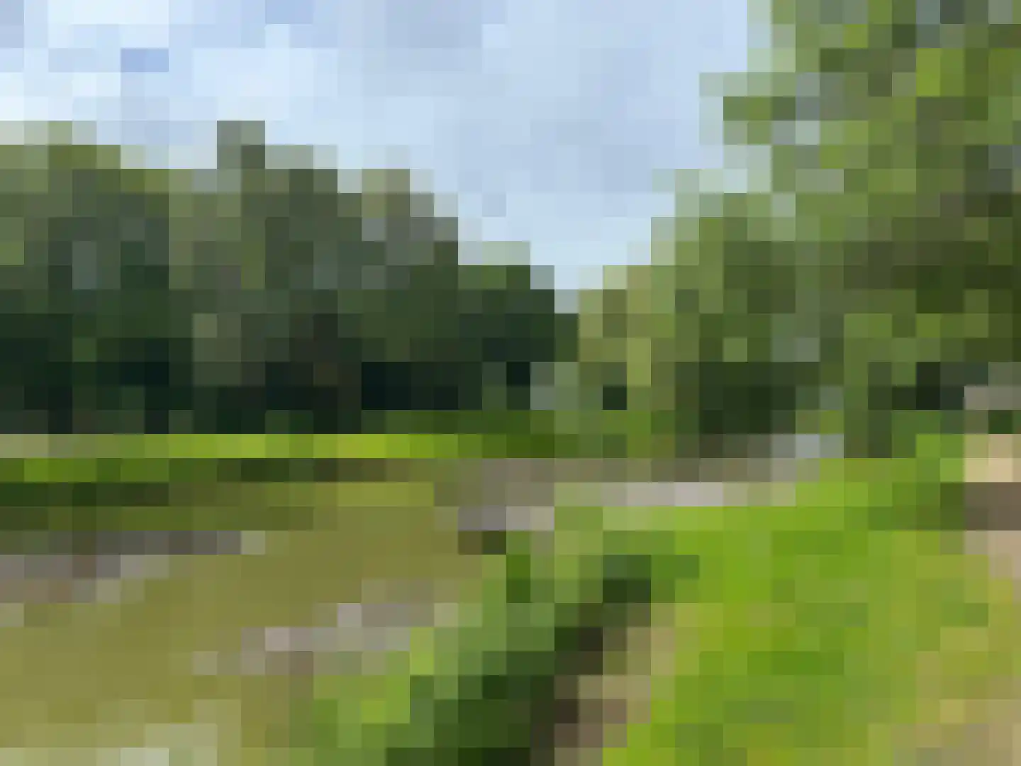 Jaagpad 77 Rijswijk thumbnail 31