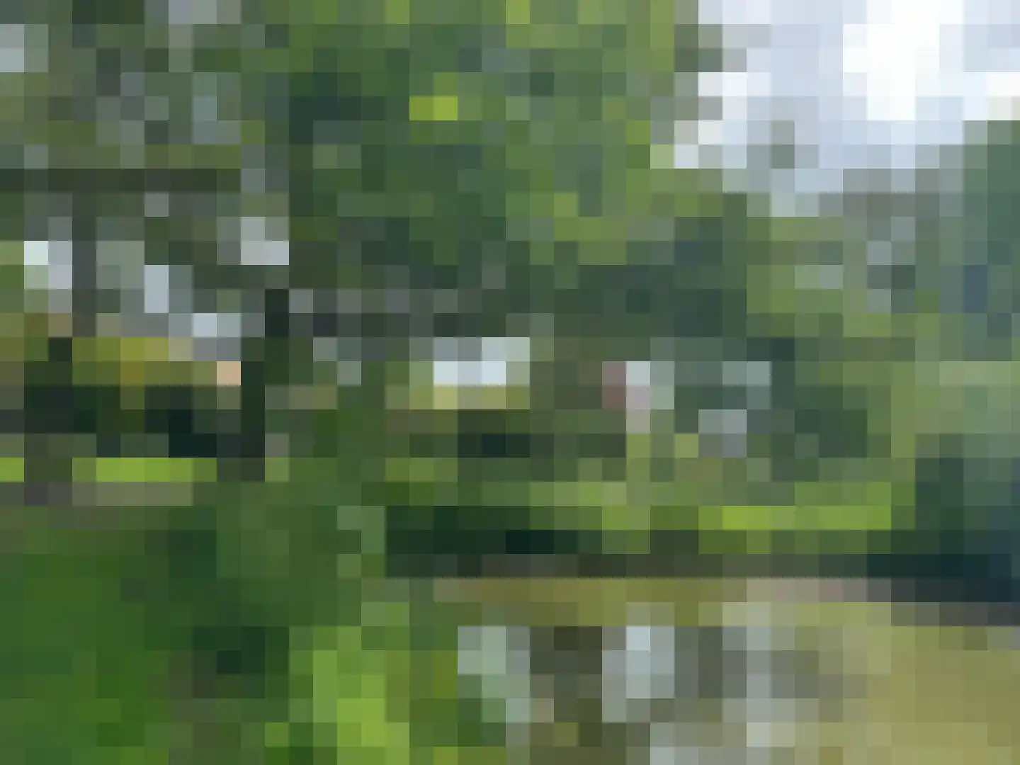 Jaagpad 77 Rijswijk thumbnail 32