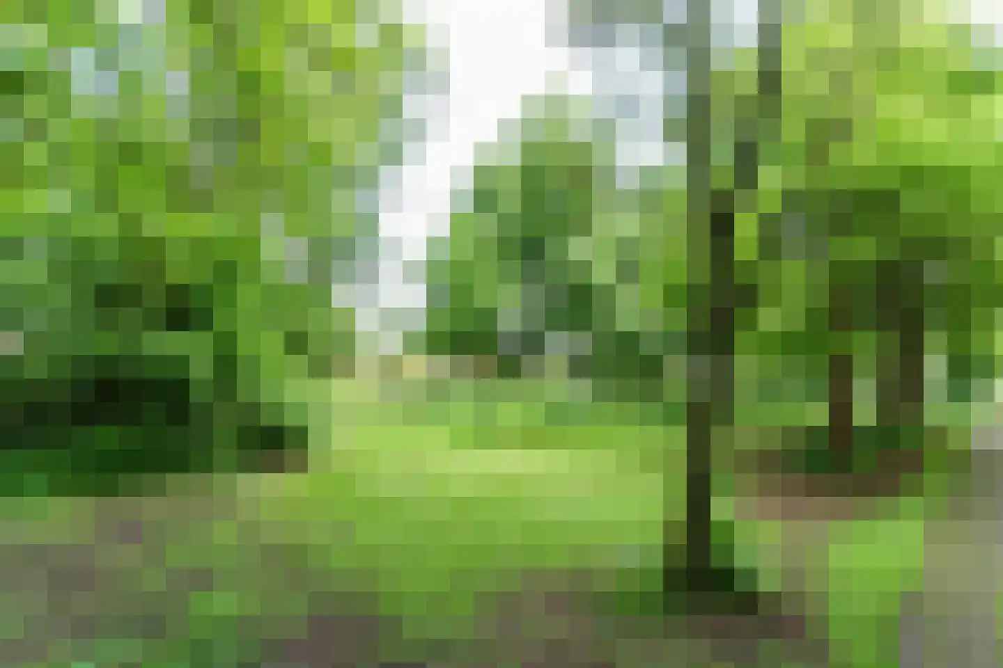 Jaagpad 77 Rijswijk thumbnail 33