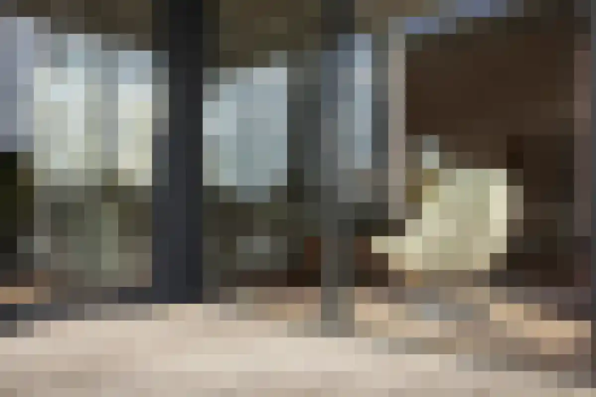Jaagpad 8 Amsterdam thumbnail 4