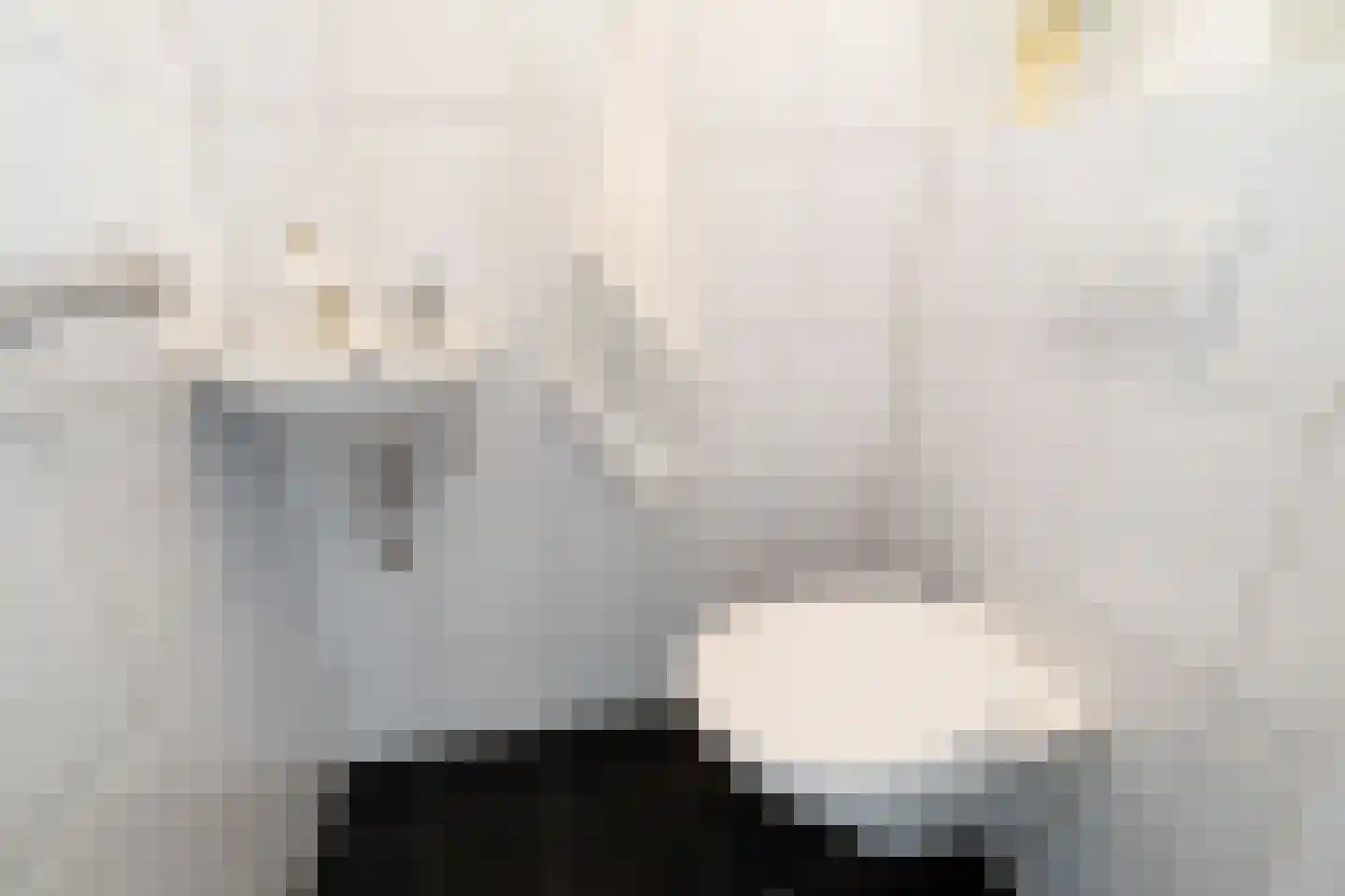Jaagpad 87 f Rijswijk thumbnail 17