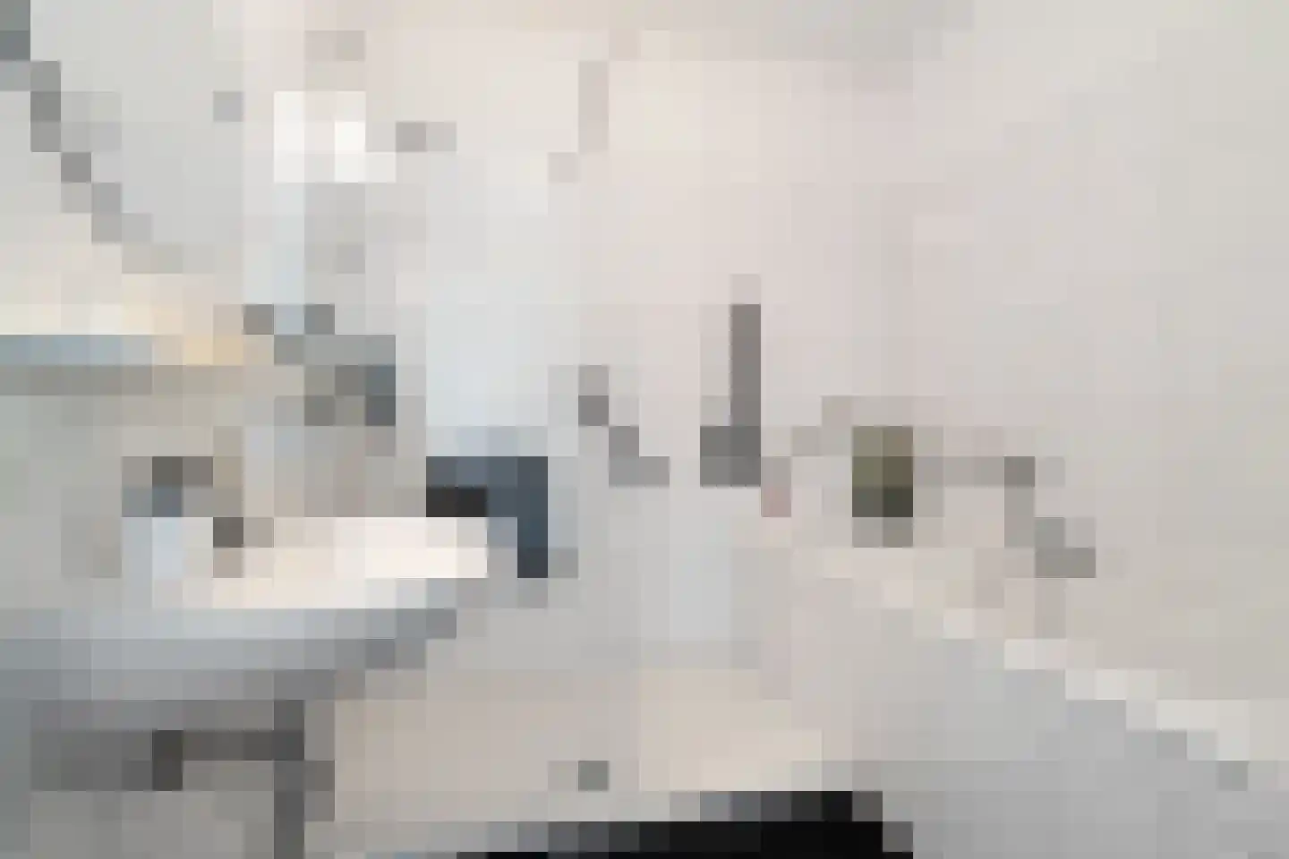 Jaagpad 87 f Rijswijk thumbnail 18