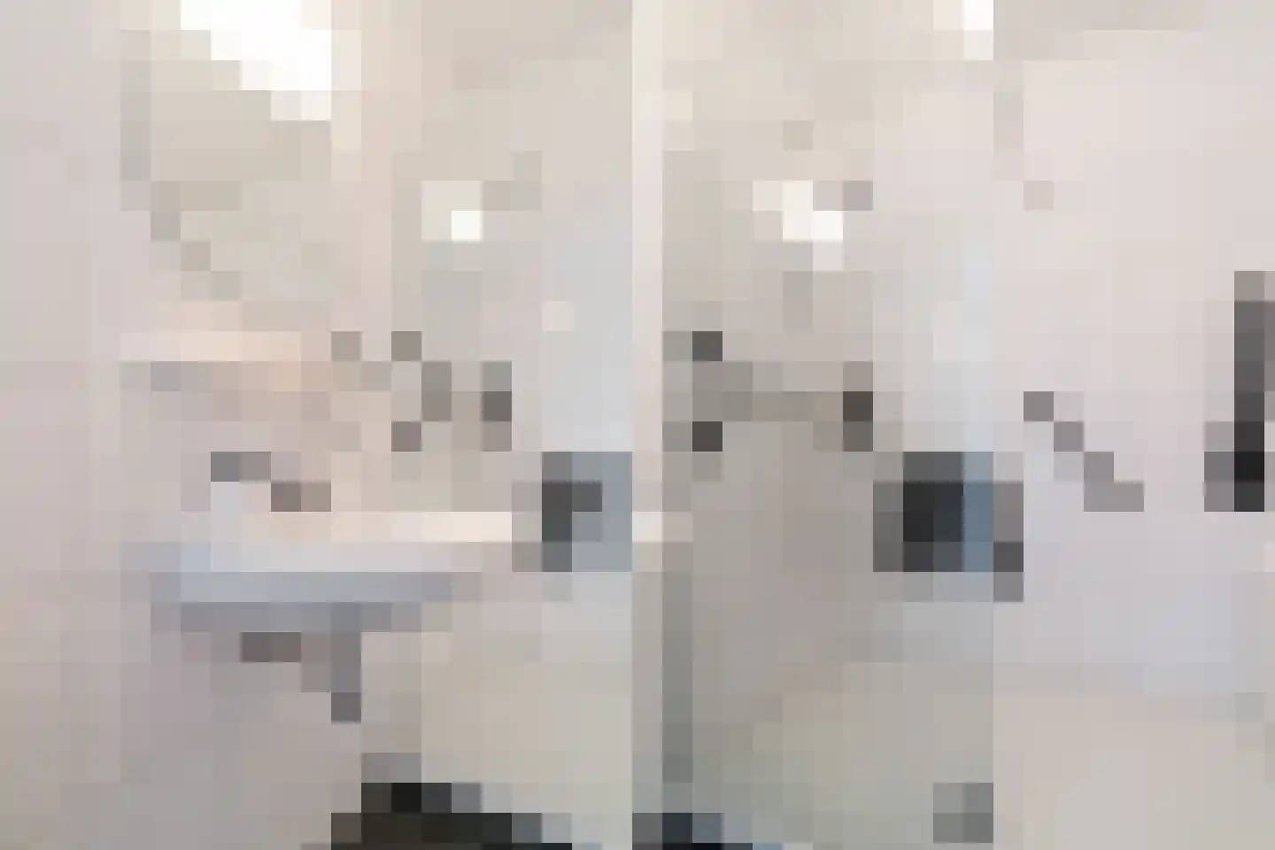 Jaagpad 87 f Rijswijk thumbnail 19