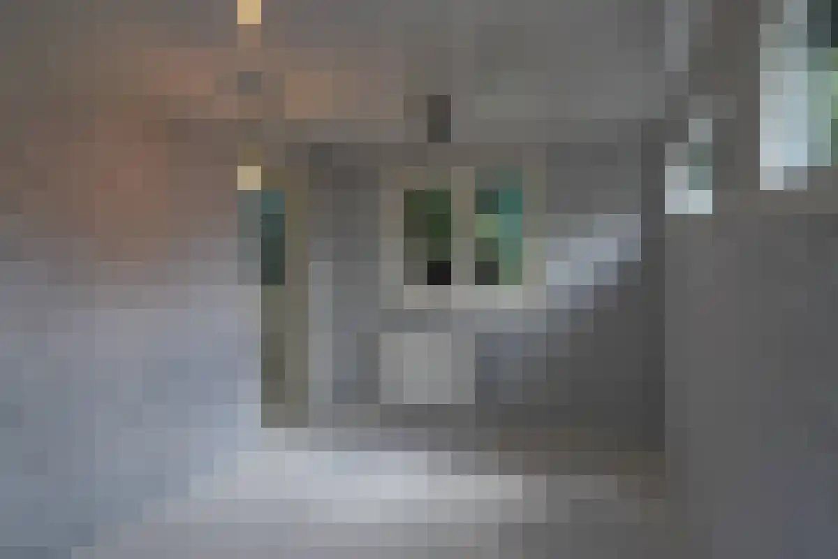 Jaagpad West 21 Maastricht thumbnail 4