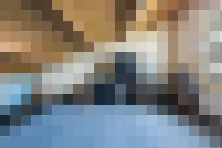 Jaagvelden 30 Best thumbnail 23