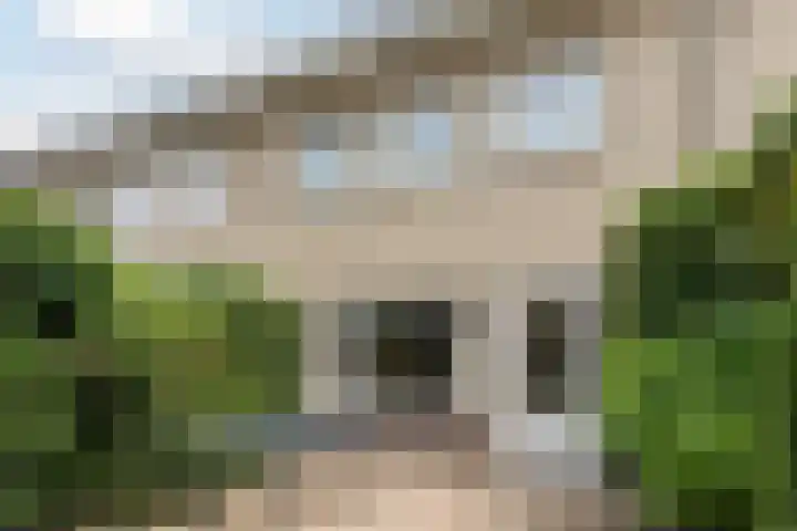 Jaagvelden 30 Best thumbnail 25
