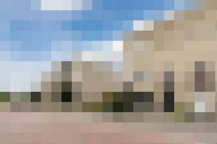 Jaagvelden 32 Best thumbnail 10